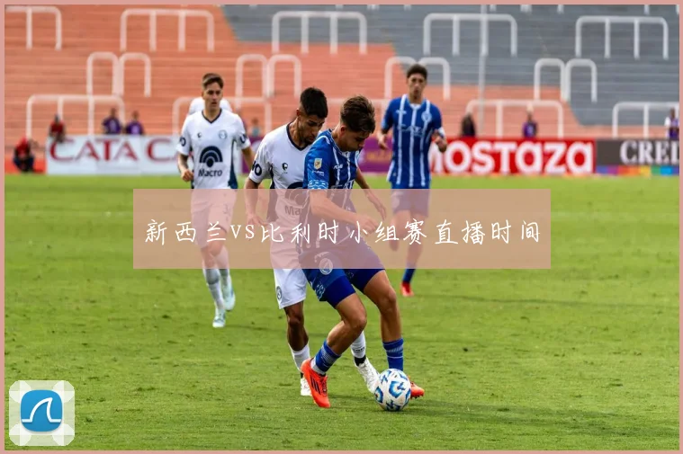 新西兰vs比利时小组赛直播时间