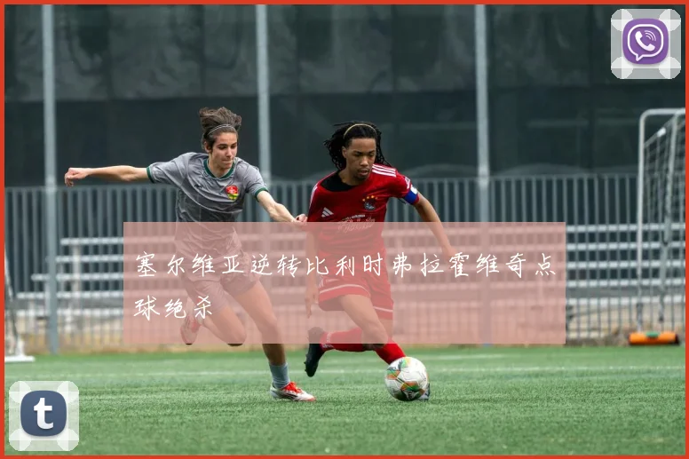 塞尔维亚逆转比利时弗拉霍维奇点球绝杀