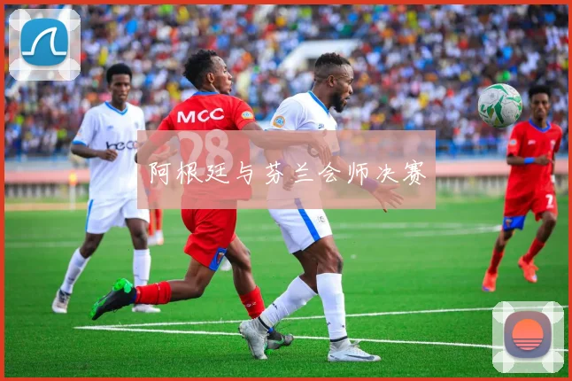 阿根廷与芬兰会师决赛