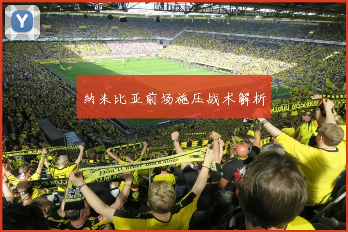 纳米比亚前场施压战术解析