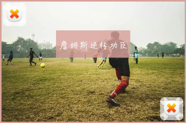 詹姆斯逆转功臣