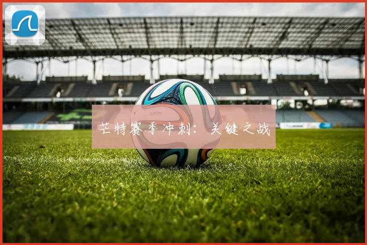 芒特赛季冲刺：关键之战