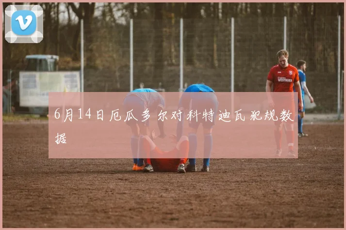 6月14日厄瓜多尔对科特迪瓦犯规数据