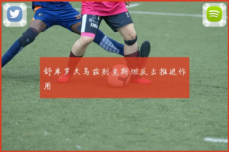 舒库罗夫乌兹别克斯坦反击推进作用