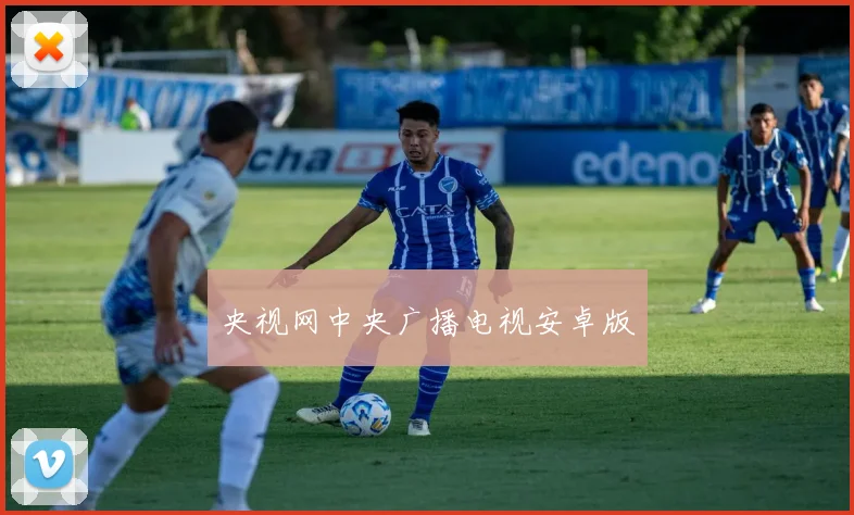央视网中央广播电视安卓版