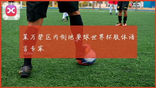 莱万禁区内倒地要球世界杯肢体语言专家