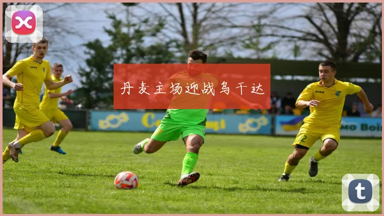 丹麦主场迎战乌干达