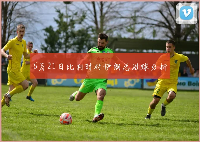 6月21日比利时对伊朗总进球分析