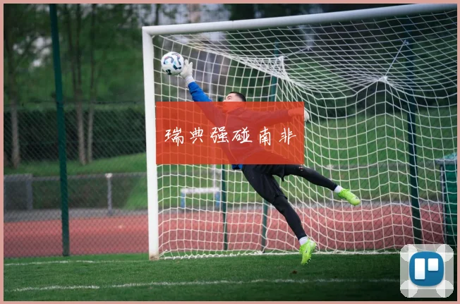 瑞典强碰南非