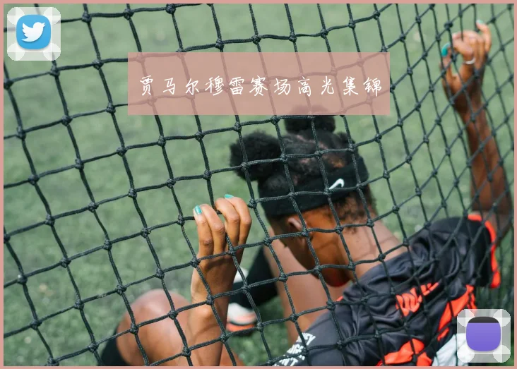 贾马尔穆雷赛场高光集锦