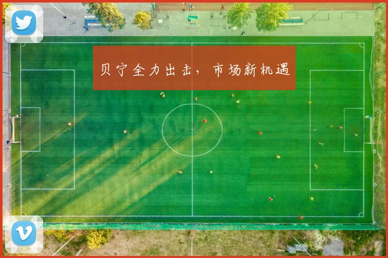 贝宁全力出击，市场新机遇