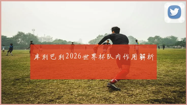 库利巴利2026世界杯队内作用解析