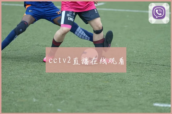cctv2直播在线观看