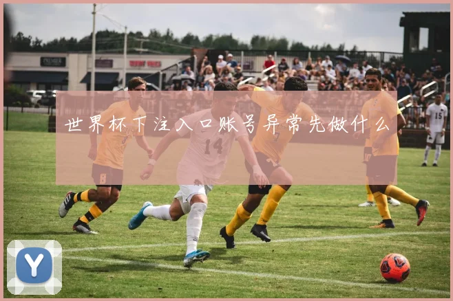 世界杯下注入口账号异常先做什么