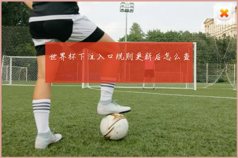 世界杯下注入口规则更新后怎么查